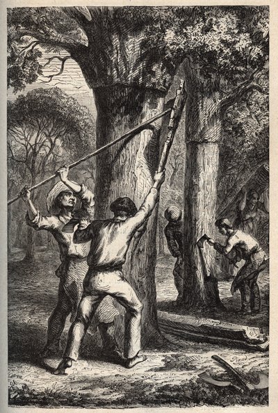 Cosecha de corcho en Quercus suber - Recolección de la corteza del alcornoque en las Landas - grabado en 