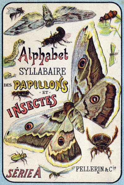 Portada de "Syllabary alphabet of butterflies and insects". Serie A. Pellerin et Cie, impresores-editores, Epinal, finales del siglo XIX. Cromolitografías. Pequeño álbum publicitario de 8 páginas que contiene un silabario y una imaginería acompañada de tex de French School
