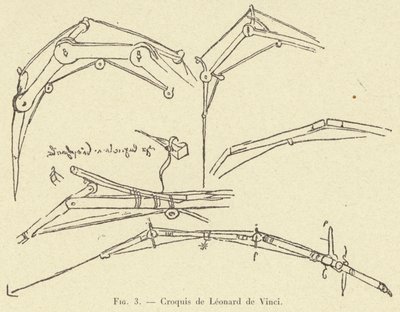 Croquis de Leonardo da Vinci de French School