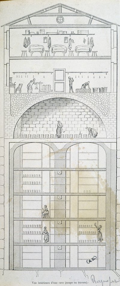 Copa de una bodega en Roquefort de French School