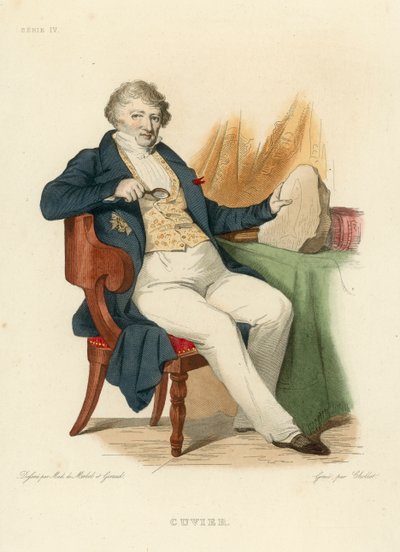 Cuvier de French School