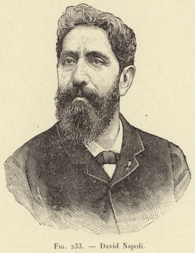David Napoli de French School