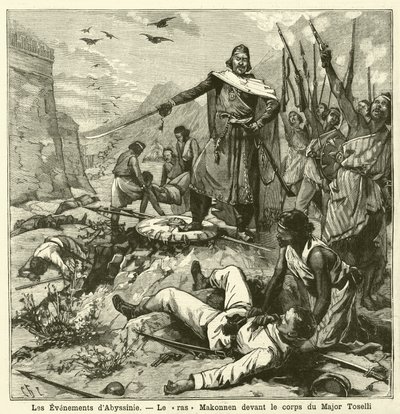 Derrota de los italianos en la Batalla de Amba Alagi, Primera Guerra Italo-Etíope de French School