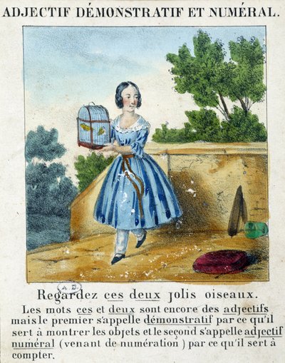 Adjetivo demostrativo y numérico (una niña llevando una jaula con 2 pájaros) - en “La gramática en imágenes” de French School