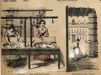 Descripción de la cosecha y productos de la seda: trabajadores hilando seda, quitando o sofocando capullos. Placa “la soie” en “les Recreations instructives” Pintura sinóptica de Jules Delbruck, grabado de 1860. de French School