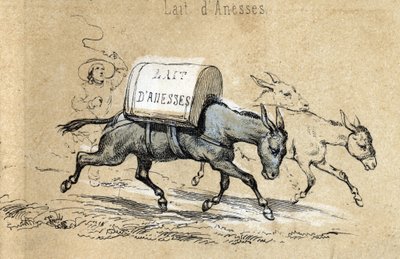 Descripción de los diferentes productos y usos del burro: burros cargando leche de burra. Detalle de la tabla “El burro y sus productos” en “Les Recreations instructives” pintura sinóptica de Jules Delbruck, grabado de 1860. Colección privada de French School