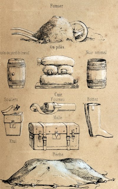 Descripción de los diversos productos y usos de la vaca: todo tipo de objetos hechos de vaca (aceite de pie de res, objetos de cuero, estiércol). Placa “La coache et ses produits” en “les Recreations instructives” Pintura sinóptica de Jules DELBRUCK, graba de French School