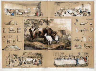 Descripción de los diversos productos y usos de la vaca: ordeño y producción de leche de vaca, vista de una lechería donde se hacen quesos, que luego se encuentran en las mesas campesinas en los pueblos, así como en los bufés del mundo. de French School