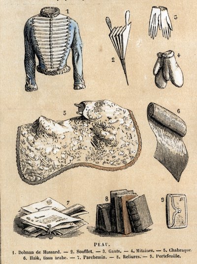 Descripción de los diversos usos y productos de la oveja: trabajo en cuero y representación de productos de piel de oveja, chaqueta de húsar, fuelle, guantes, encuadernaciones y pergamino, billetera y accesorios. Placa “Las ovejas” en “les Recreations inst de French School