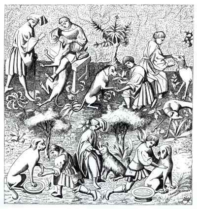 Enfermedades de los perros y su cura, después de una miniatura en el manuscrito de Gaston de Foix de French School