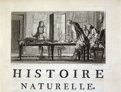 Disección de los animales - en “Histoire naturelle, générale et particulière” de Buffon de French School