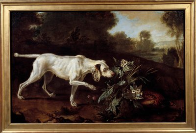 Perro se detendrá frente al juego de French School