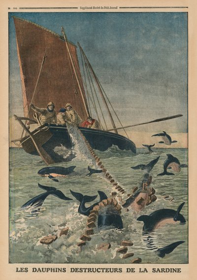 Delfines destruyendo sardinas, ilustración de portada de 