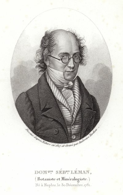 Dominique Sebastion Leman de French School