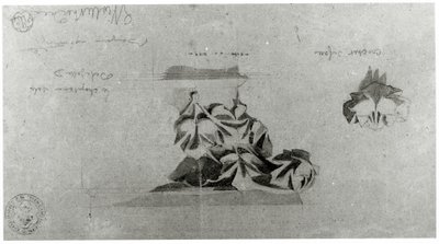 Dibujo para la restauración de Notre Dame de French School