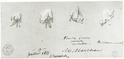Dibujo para la restauración de las gárgolas de Notre Dame, 1855 de French School