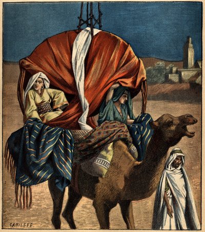 Dromedario utilizado como medio de transporte. Túnez, África de French School