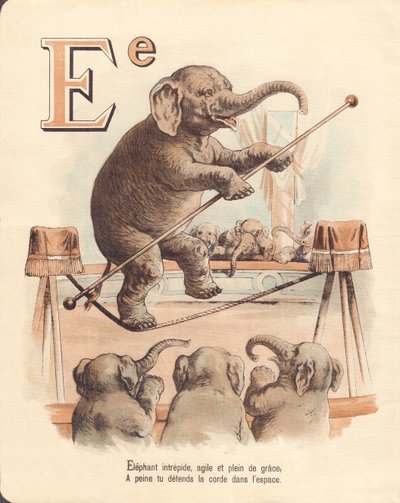 E: Elefante, equilibrista intrépido elefante, ágil y lleno de gracia, apenas relaja la cuerda en el espacio de French School