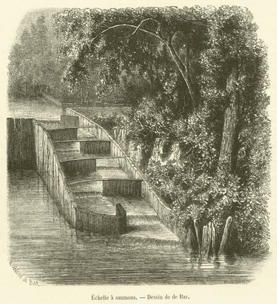 Escalera para salmones de French School