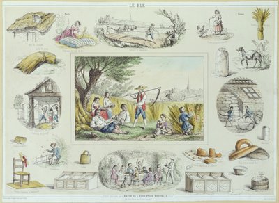 Ilustración educativa del maíz, c.1860-70 de French School