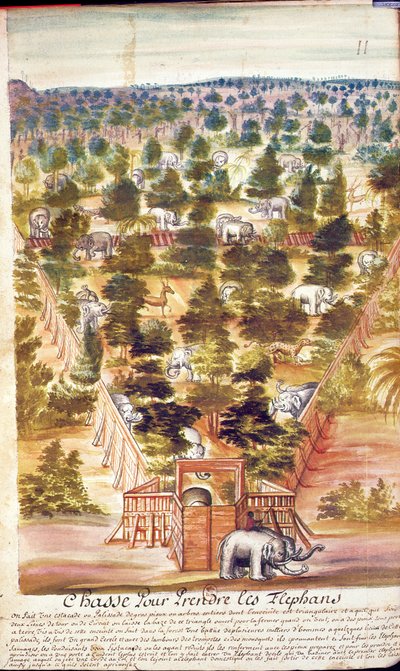Caza de elefantes en Siam, de una cuenta de los jesuitas en Siam, 1688 de French School