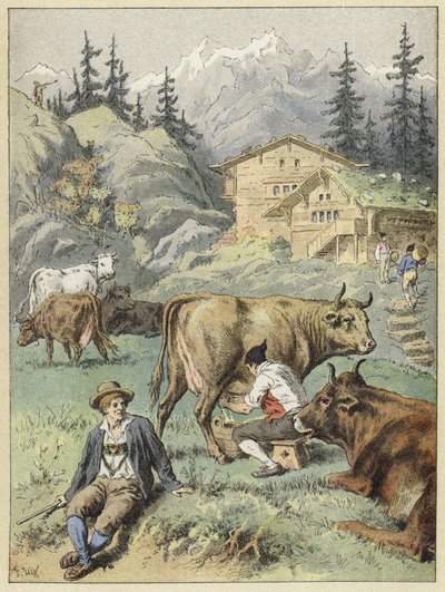 Ordeño vespertino cerca de los chalets de French School