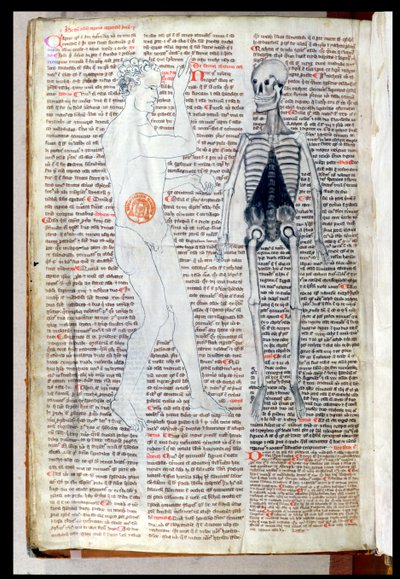 Un hombre y un esqueleto, de un tratado médico de Abul Qasim Khalaf ibn al-Abbas al-Zahrawi (Abulcasis) (936-1013) traducido por Gerard de Cremone (1114-87) de French School