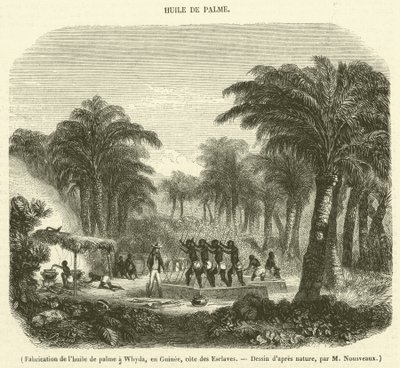 Fabricación de aceite de palma en Whyda, en Guinea, costa de los Esclavos de French School