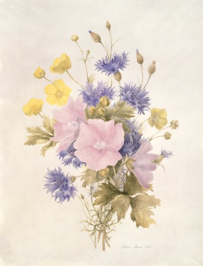 Flores del campo, 1842 de French School