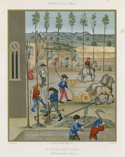Trabajo de campo de French School