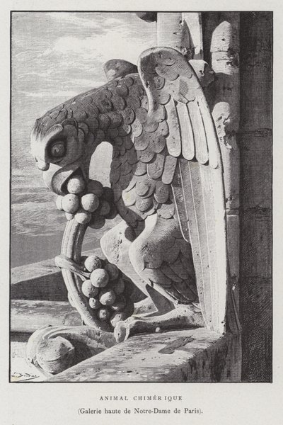 Figura de un animal quimérico, de la galería superior de Notre Dame de París de French School