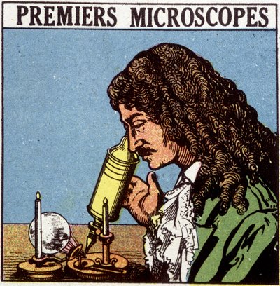Primeros microscopios: Huygens de French School