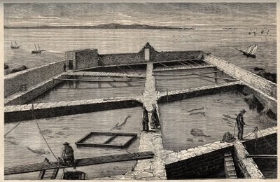 Piscicultura en Concarneau - Bretaña - Establecimiento de piscicultura - Concarneau - Finisterre - Bretaña - grabado en “PATRIE” - DESCRIPCIÓN PICTÓRICA DE FRANCIA EN 6 VOLÚMENES POR LUCIEN HUARD - finales del siglo XIX de French School