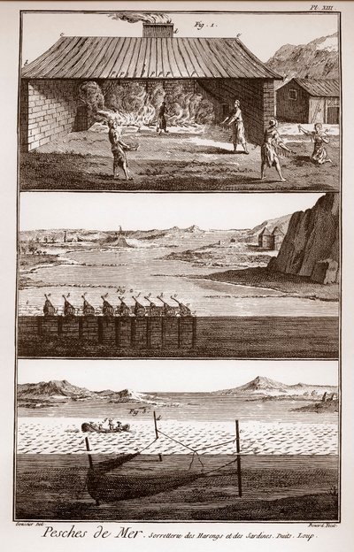 Pesca, arenques y sardinas - “La Gran Enciclopedia, o Diccionario Razonado de las Ciencias, las Artes y los Oficios” por Denis Diderot de French School