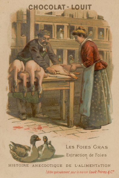 Foie Gras de French School