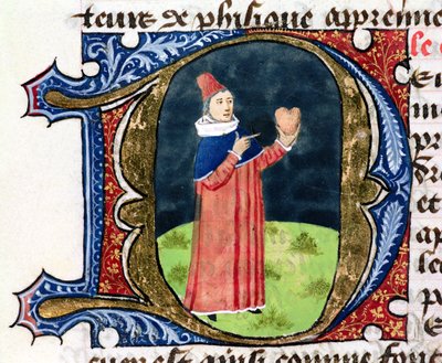El corazón, de Traite de Medecine por Aldebrande de Florencia, 1356 de French School