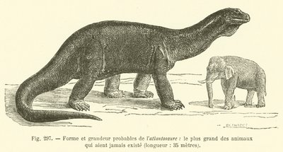 Forma y tamaño probable del atlantosaurio, el animal más grande que jamás haya existido, longitud, 35 metros de French School