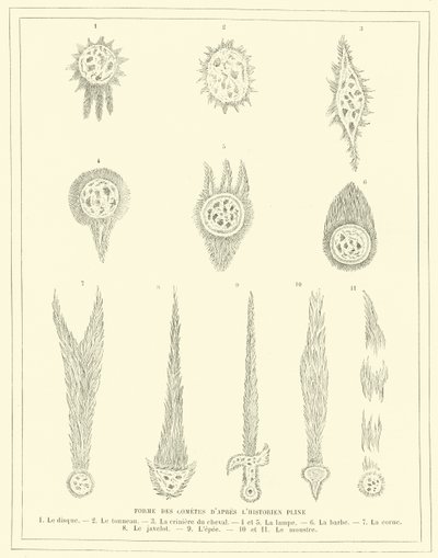 Formas de cometas según el historiador Plinio (grabado) de French School