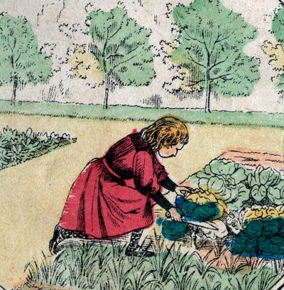 Creencia francesa: Una niña, creyendo que los bebés nacen en coles o rosas, corta los brotes de un huerto - Imagen de Epinal - Siglo XIX (grabado) de French School