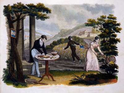 Frontispicio de Les Papillons... por Eugene Balland (1796-c.1850), publicado por P. Blanchard, Lecerf, París, 1823 (grabado en color) de French School