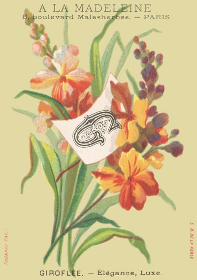 G: Giroflée - Elegancia, Lujo de French School