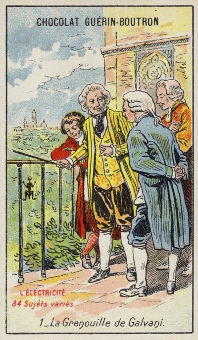 La rana de Galvani de French School