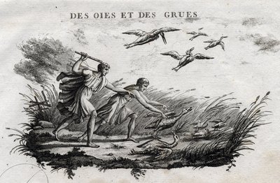 Gansos y grullas - Fábula de Esopo (Escritor griego Esopo, siglo VI a.C.) Escrito por Guillaume Montfort y grabado por Beauble en 1801. de French School