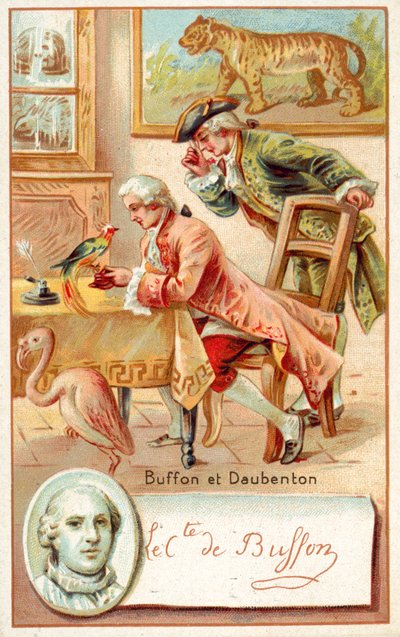 Georges-Louis Leclerc, Conde de Buffon, y Louis-Jean-Marie Daubenton, naturalistas franceses de French School