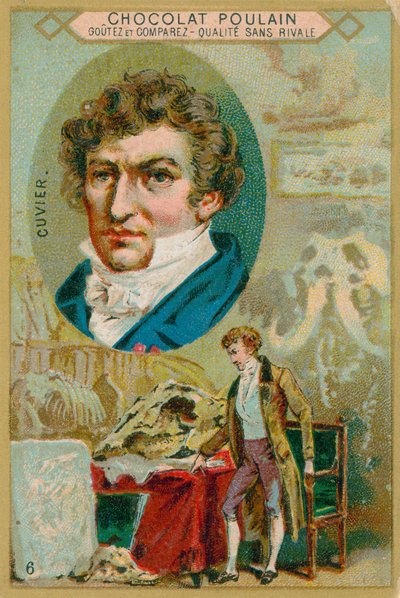 Georges Cuvier de French School