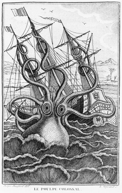 Pulpo gigante, ilustración de L