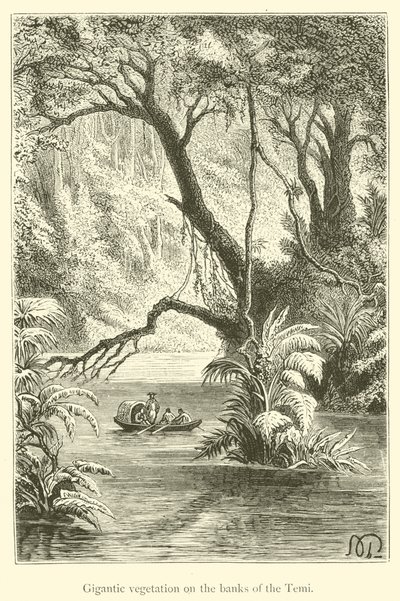 Vegetación gigantesca en las orillas del Temi (grabado) de French School
