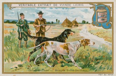 Setter Gordon y Braque St Germain de French School