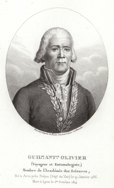 Guillaume Antoine Olivier de French School