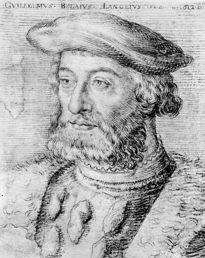Guillaume du Bellay de French School